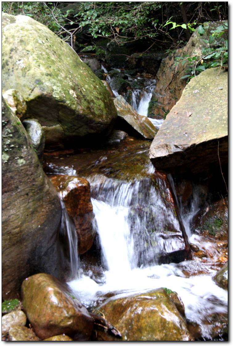 2009_07_29_0794.jpg