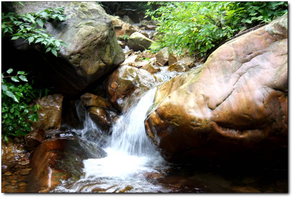 2009_07_29_0778.jpg