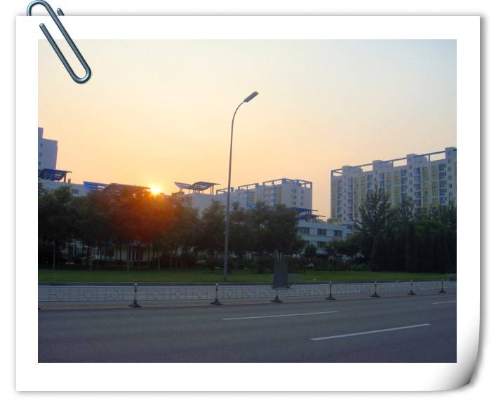 DSC02118_conew2.JPG