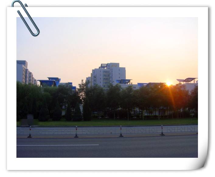 DSC02119_conew2.JPG