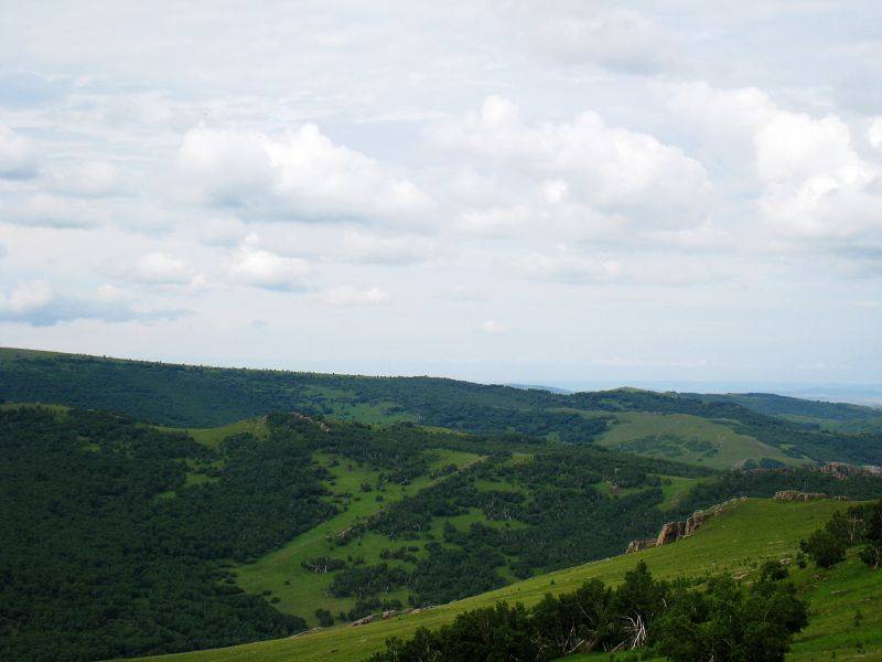 07.jpg