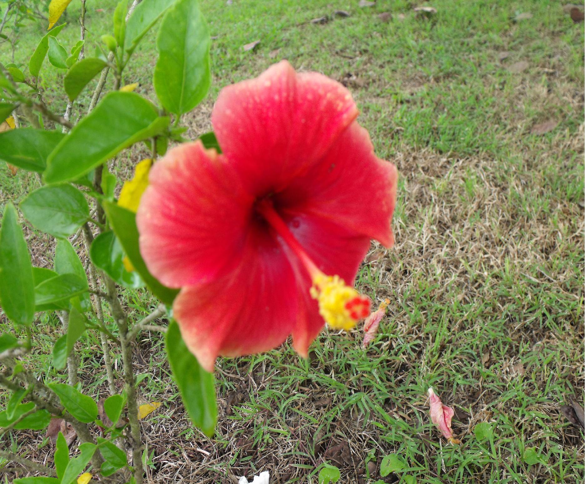 DSCF1919.JPG