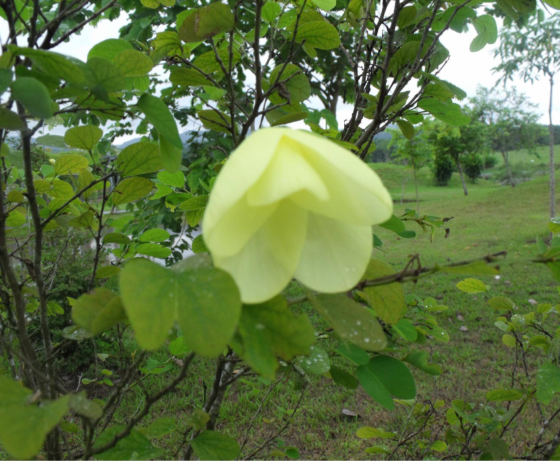 DSCF1914.JPG