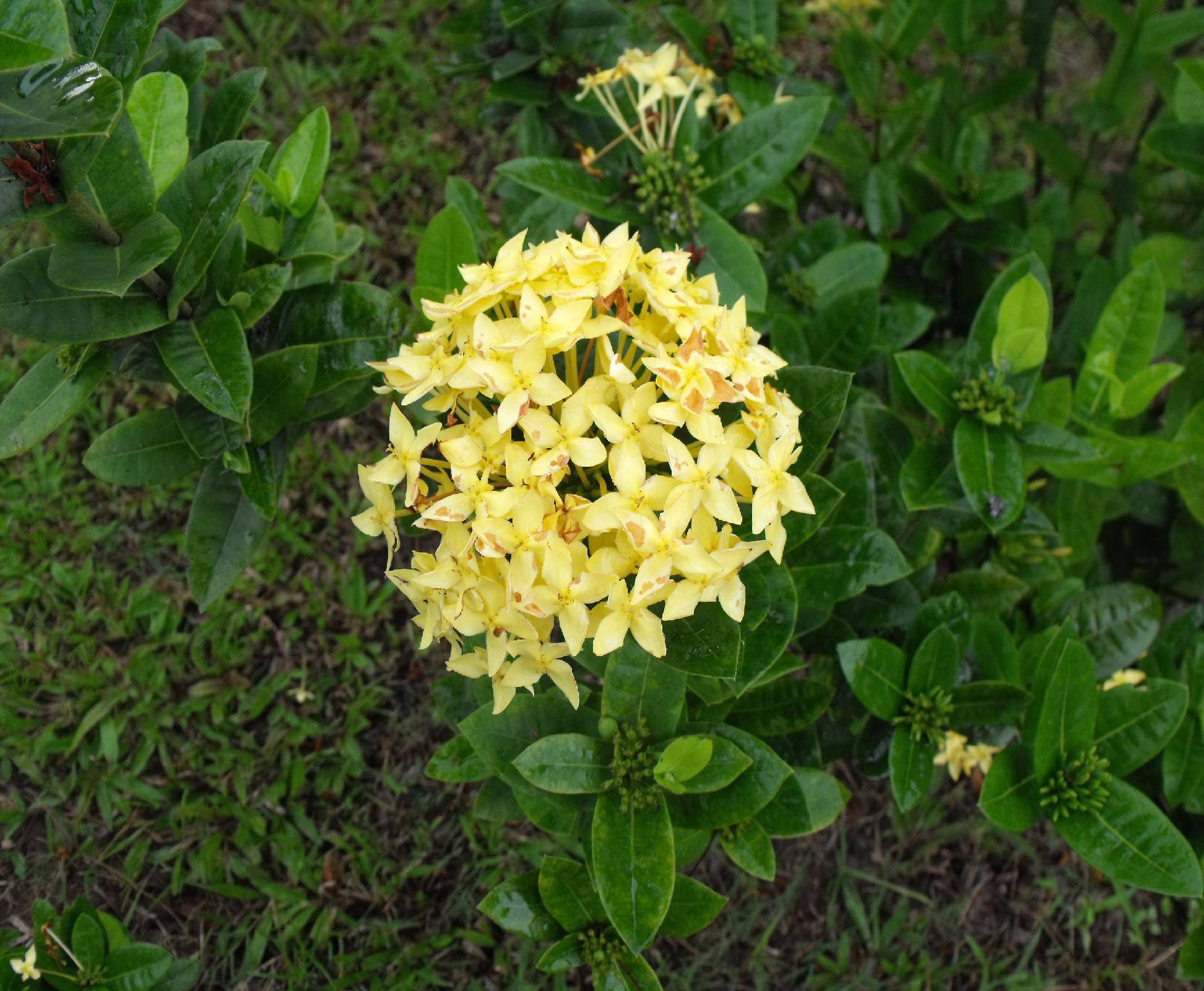 DSCF1912.JPG