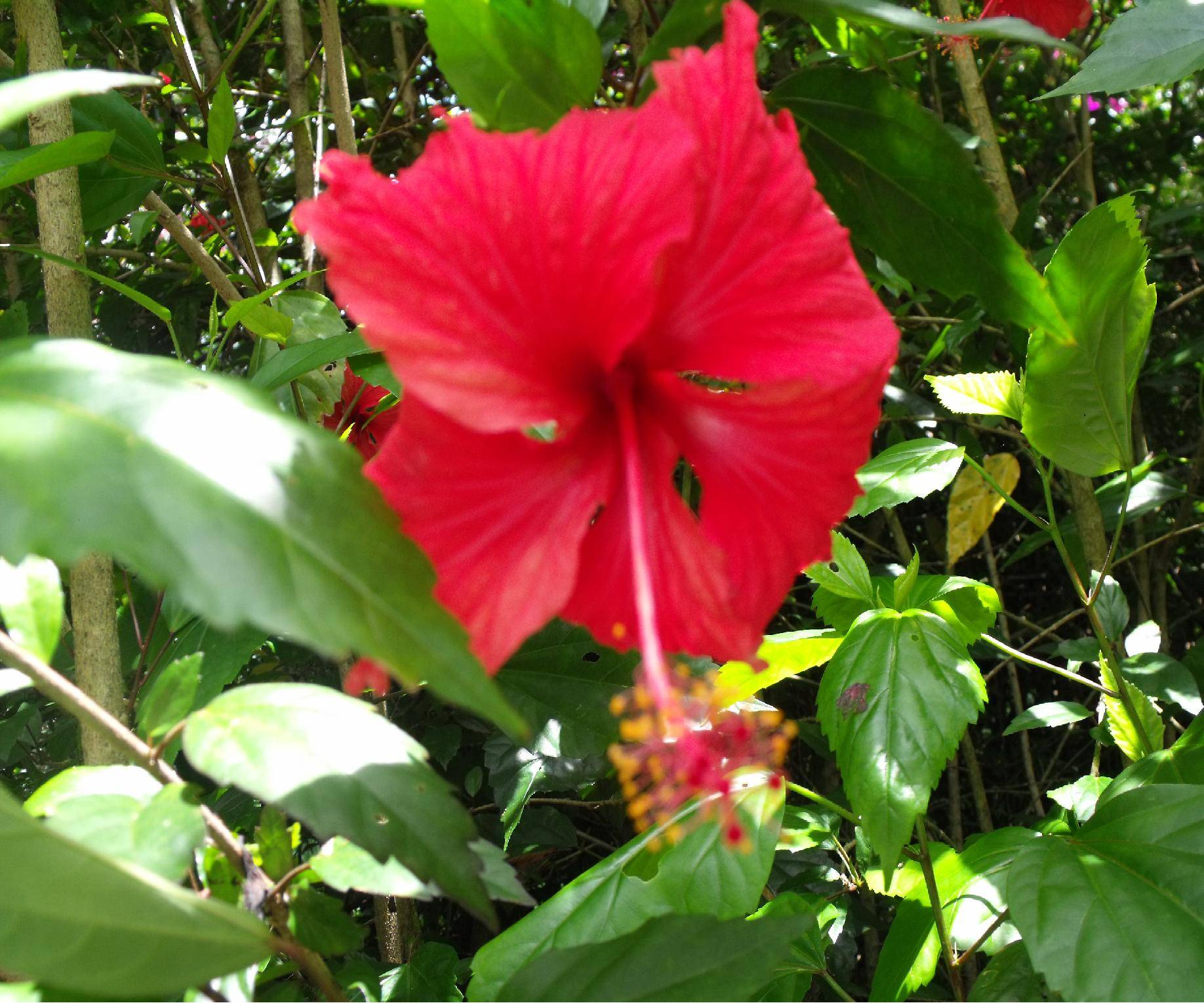 DSCF2196.JPG