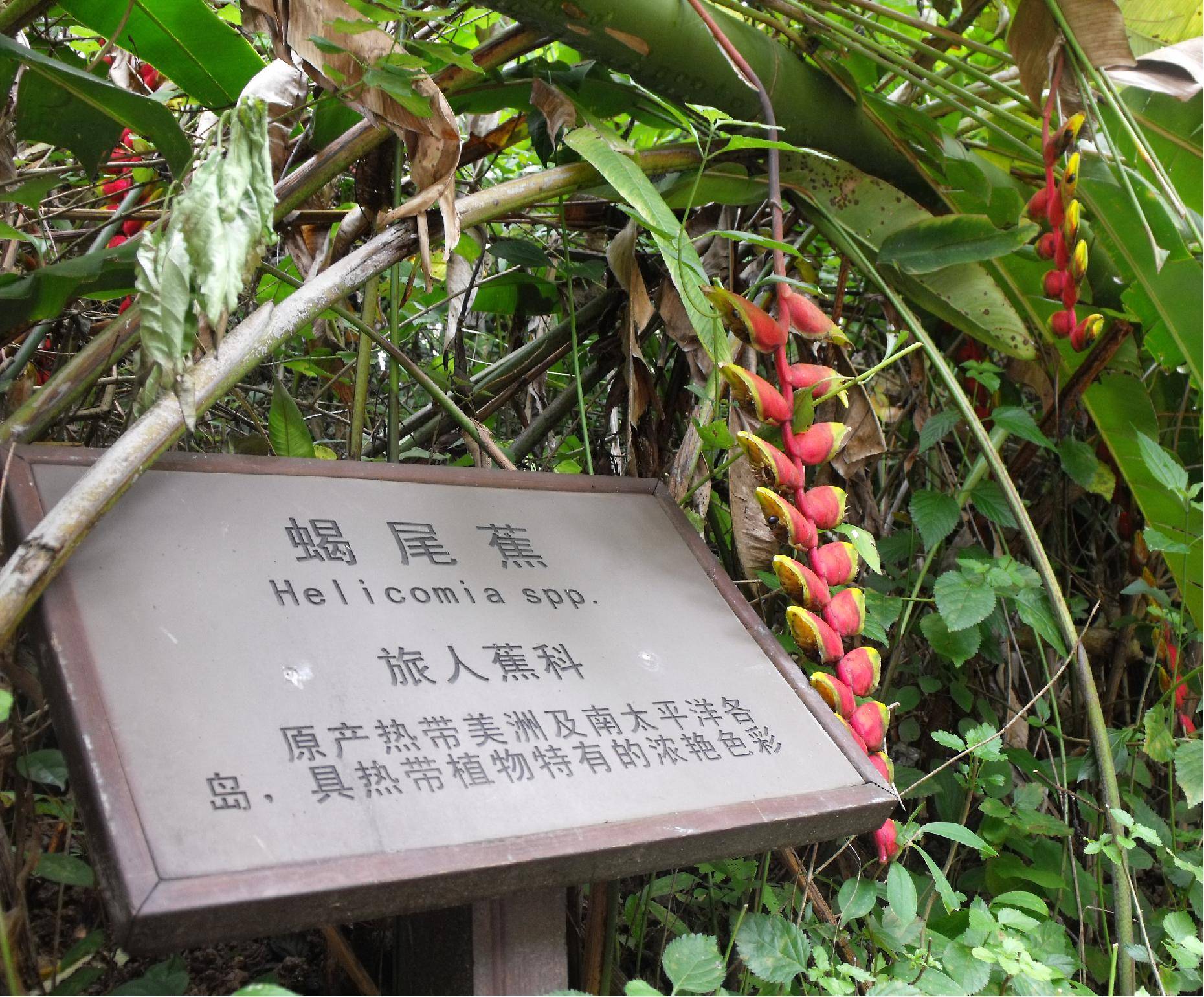DSCF2160.JPG
