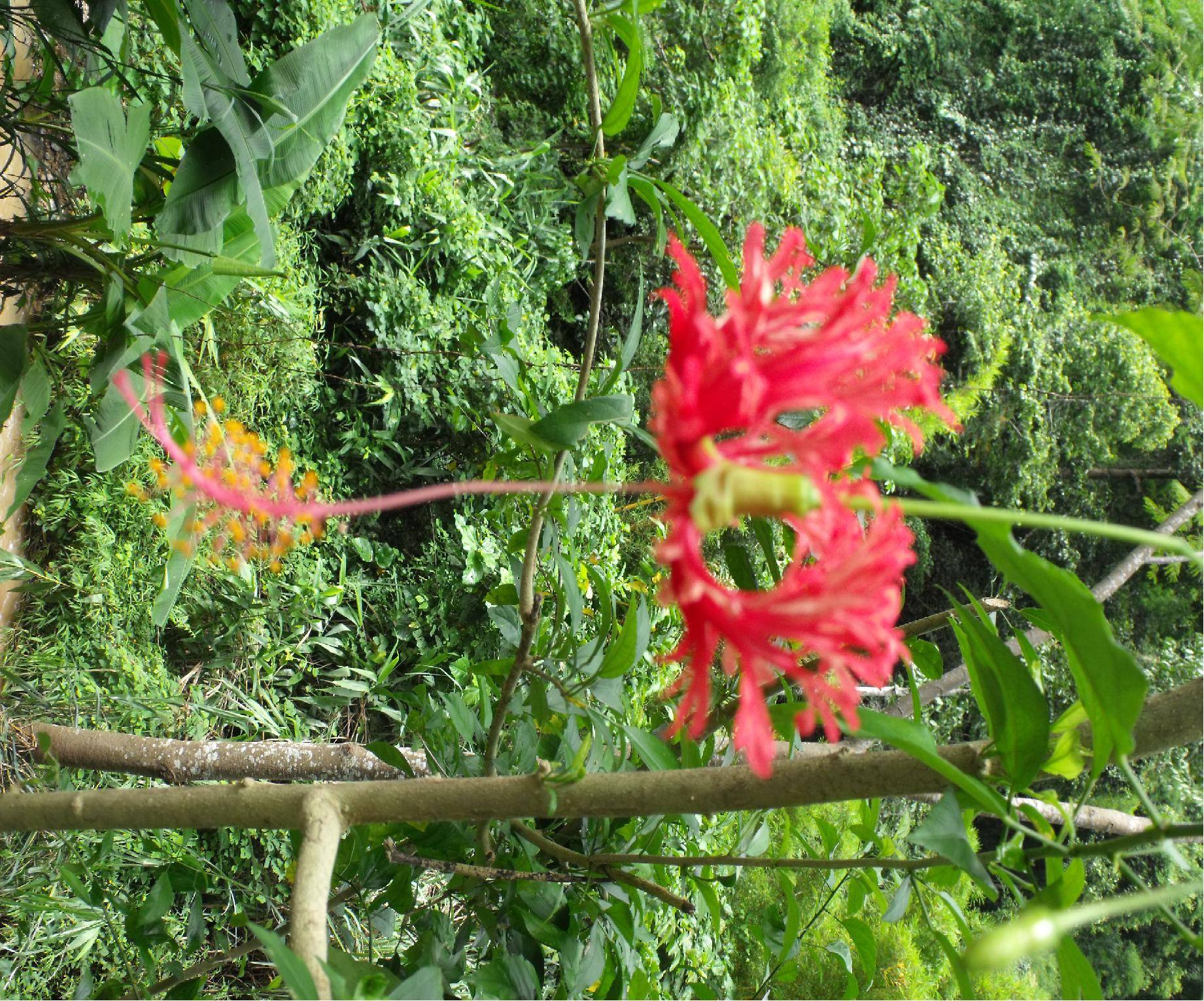 DSCF2150.JPG