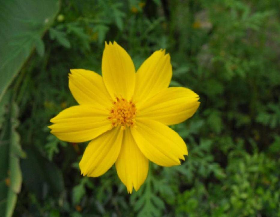DSCF2344.JPG