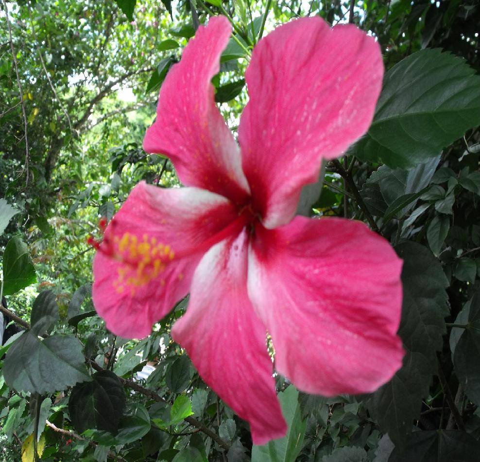 DSCF2217.JPG