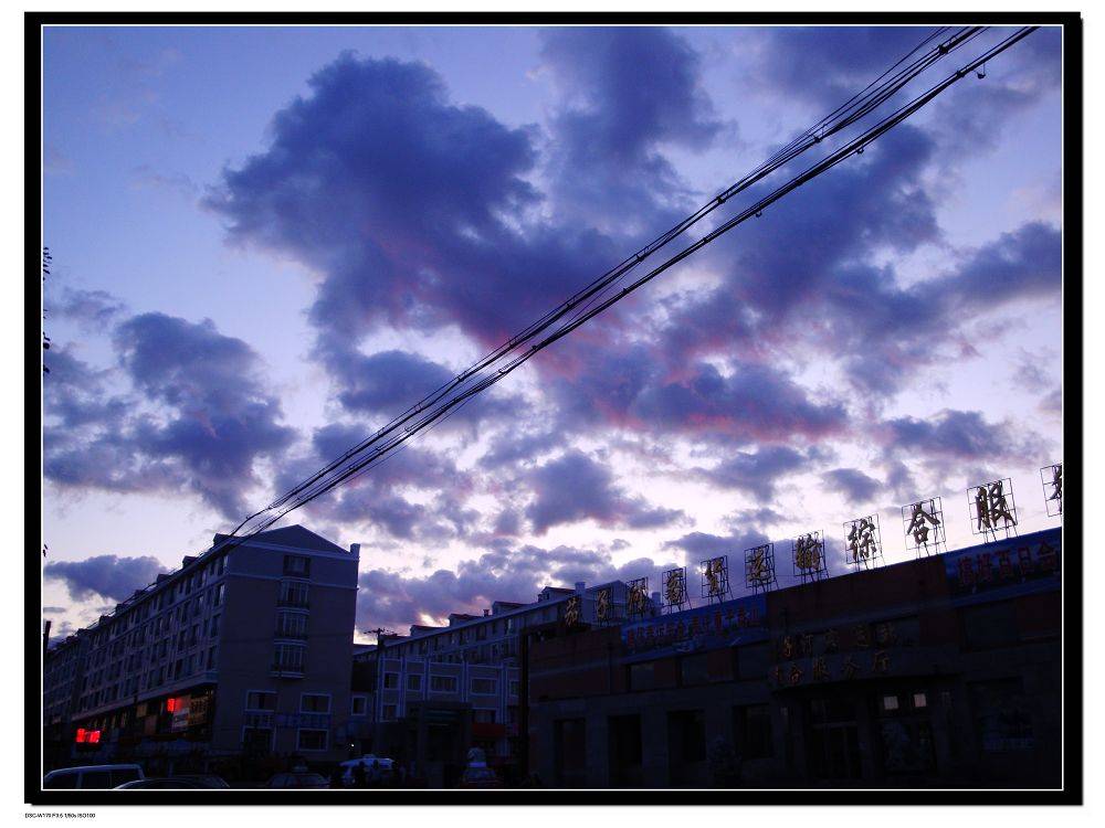 DSC01260.jpg