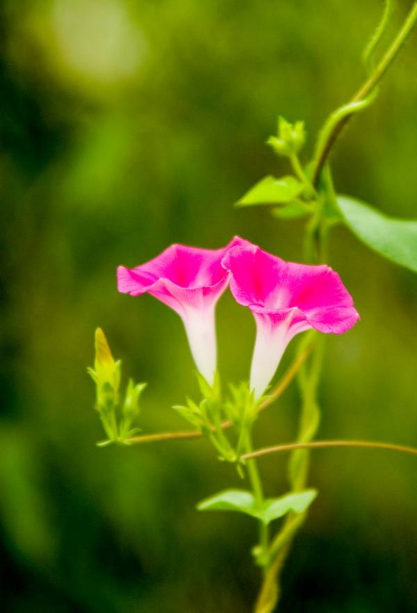 DSC_2629.jpg