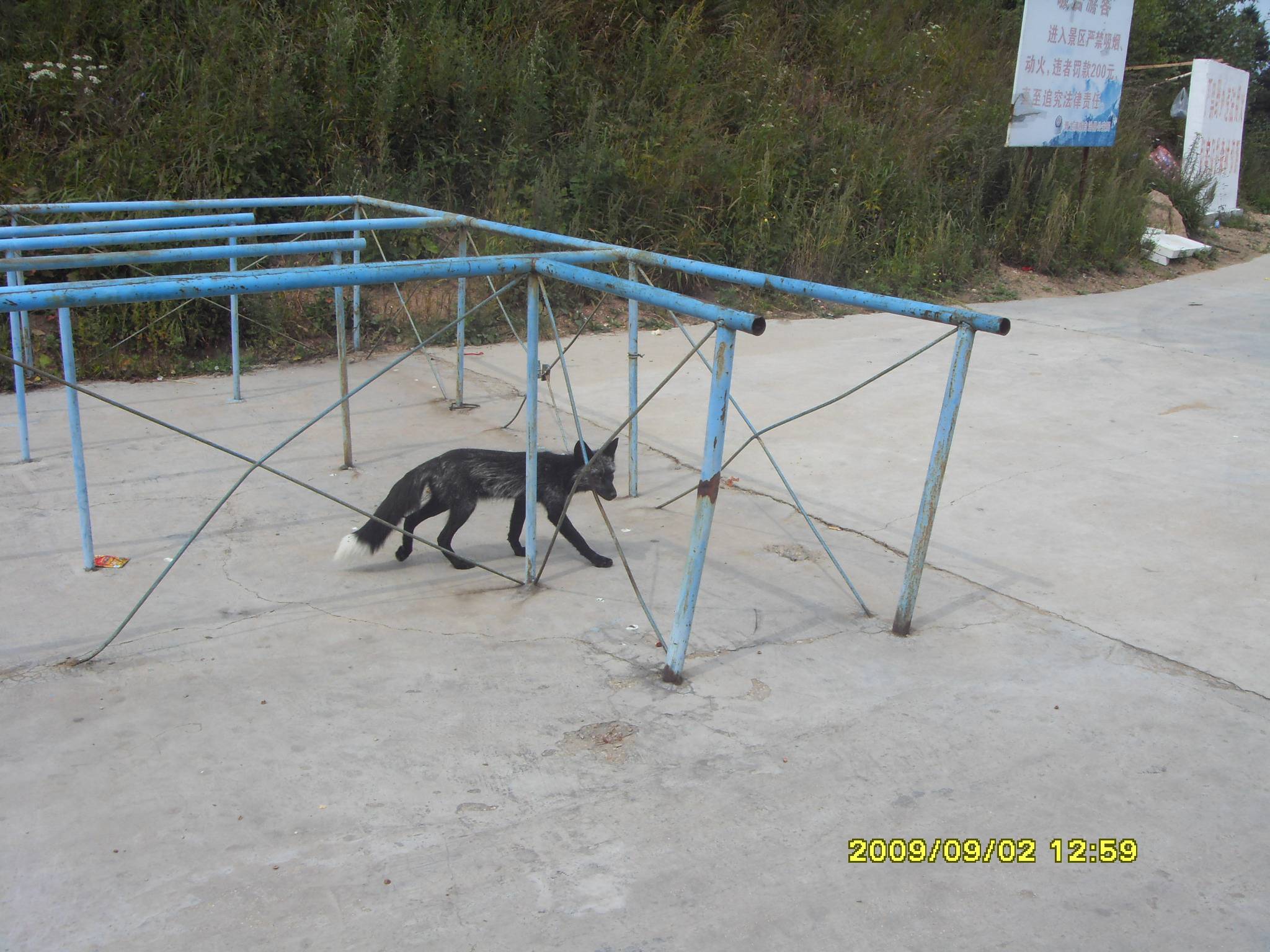 SDC10392.JPG