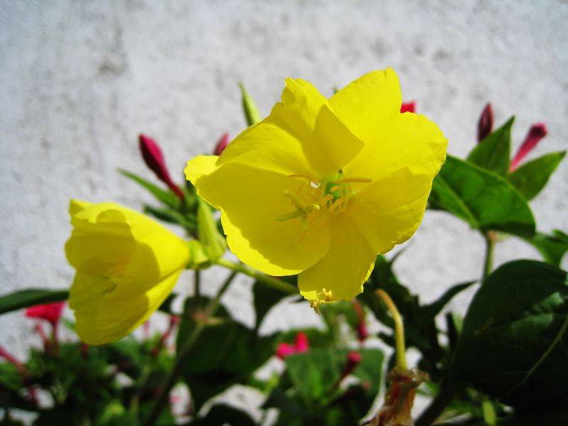 h02.jpg