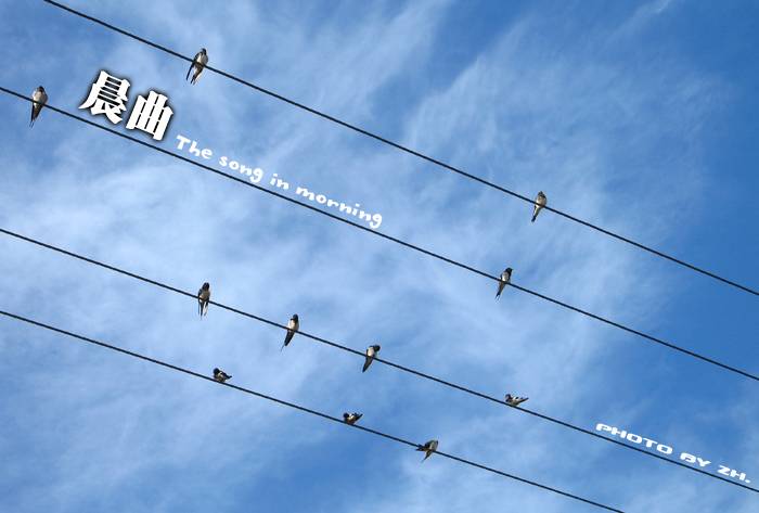 bird.jpg