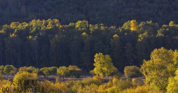 _MG_1900-0.jpg