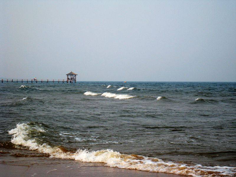 08.jpg