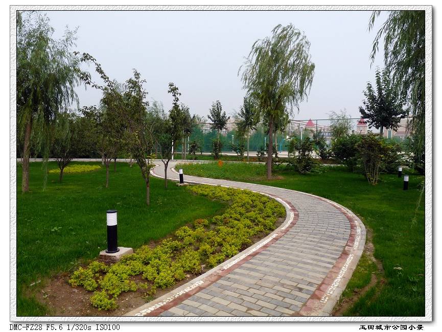 _P1050410.jpg.jpg