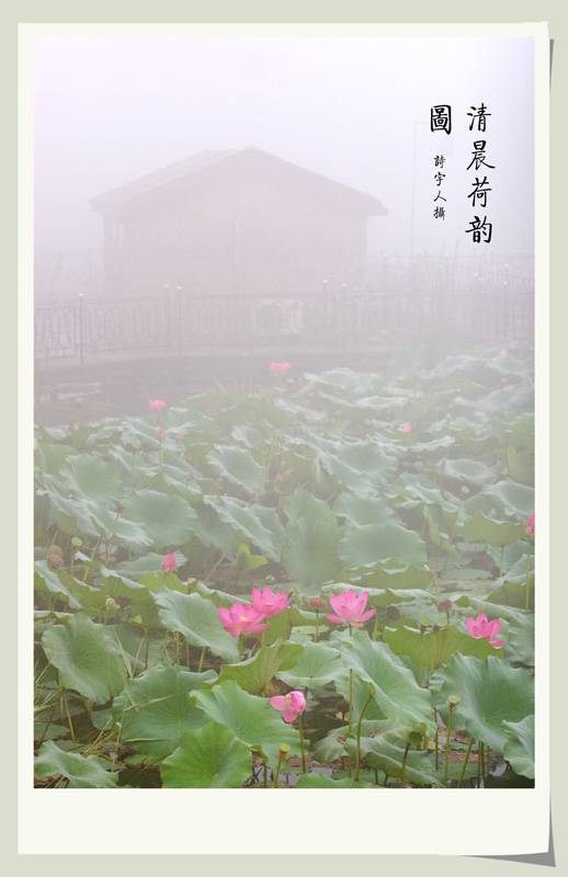 峿7.jpg
