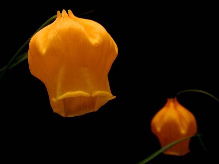 DSC06613_С.JPG