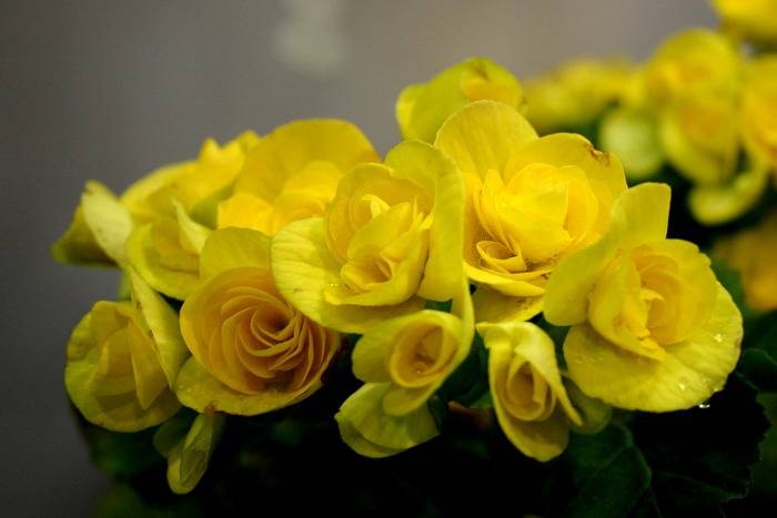 IMG_3279_С.JPG