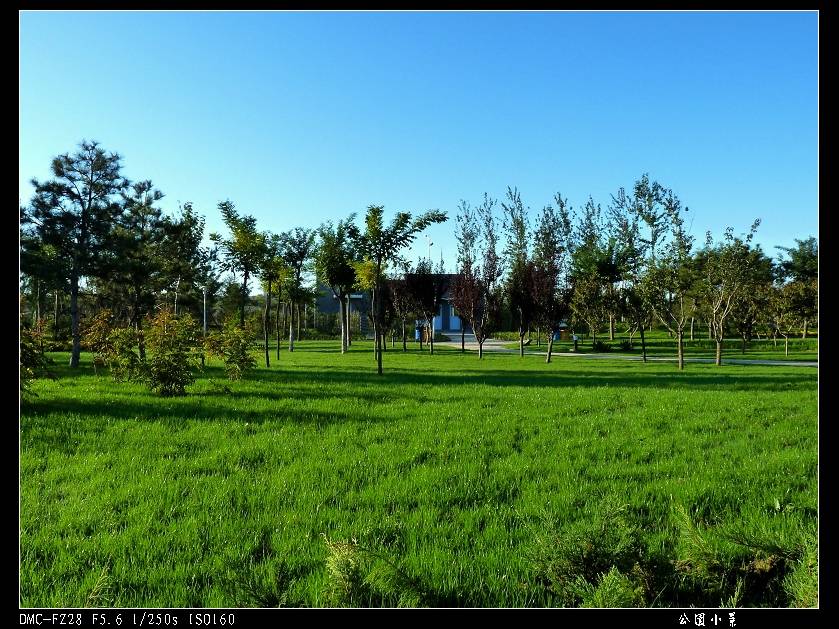 P1050666.jpg