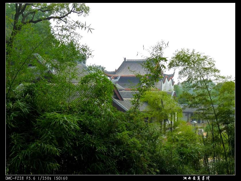 P1050242.jpg