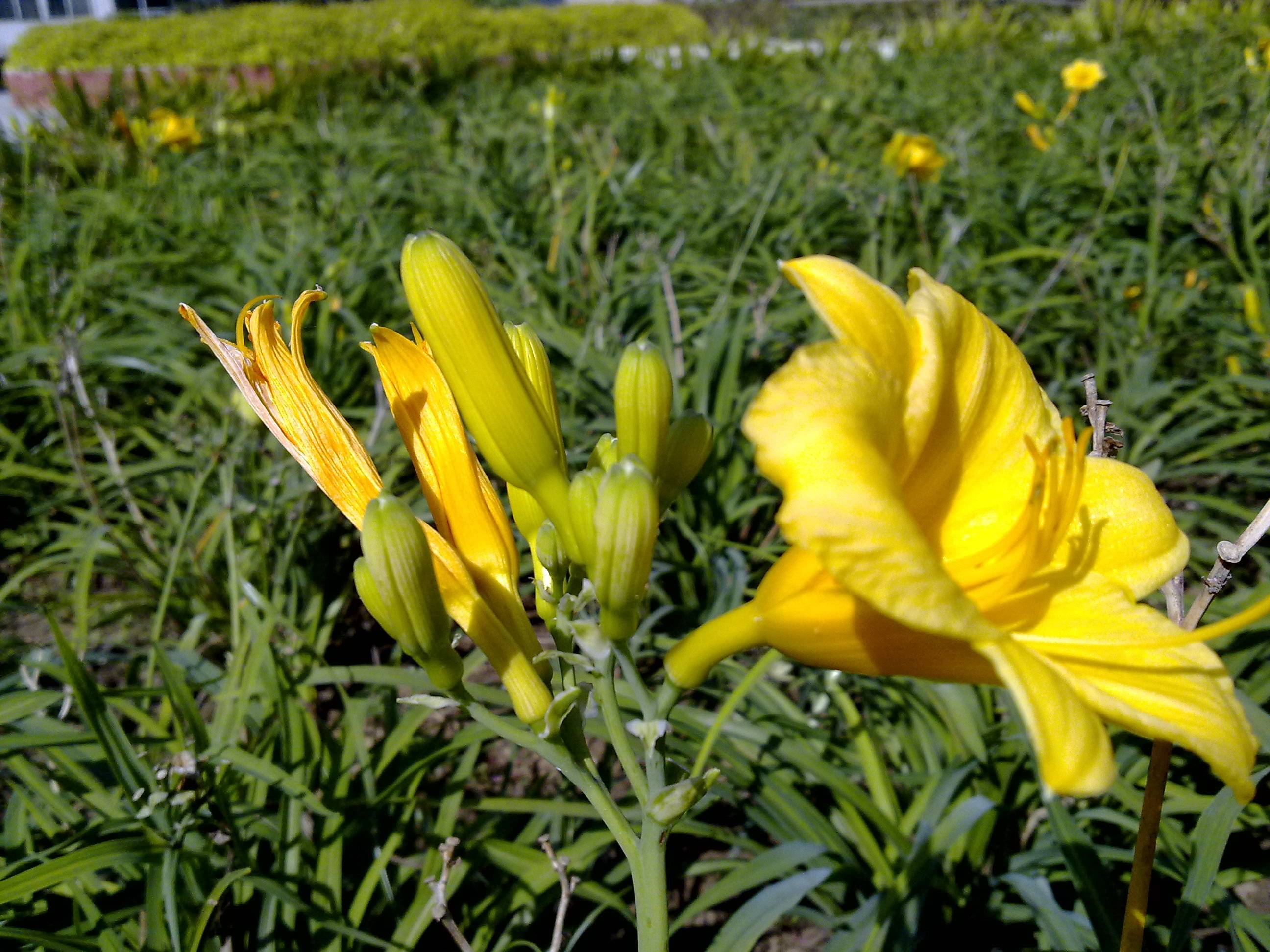 20090909368.jpg
