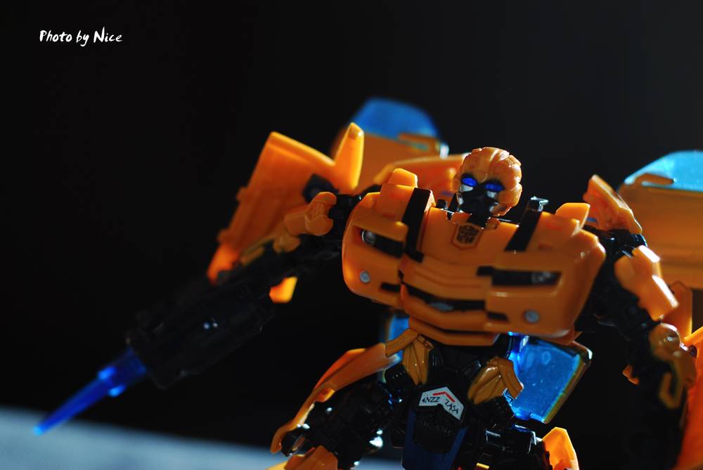 6103273.jpg
