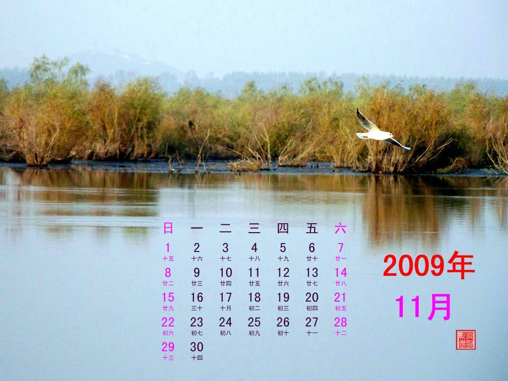 100_5302b.jpg