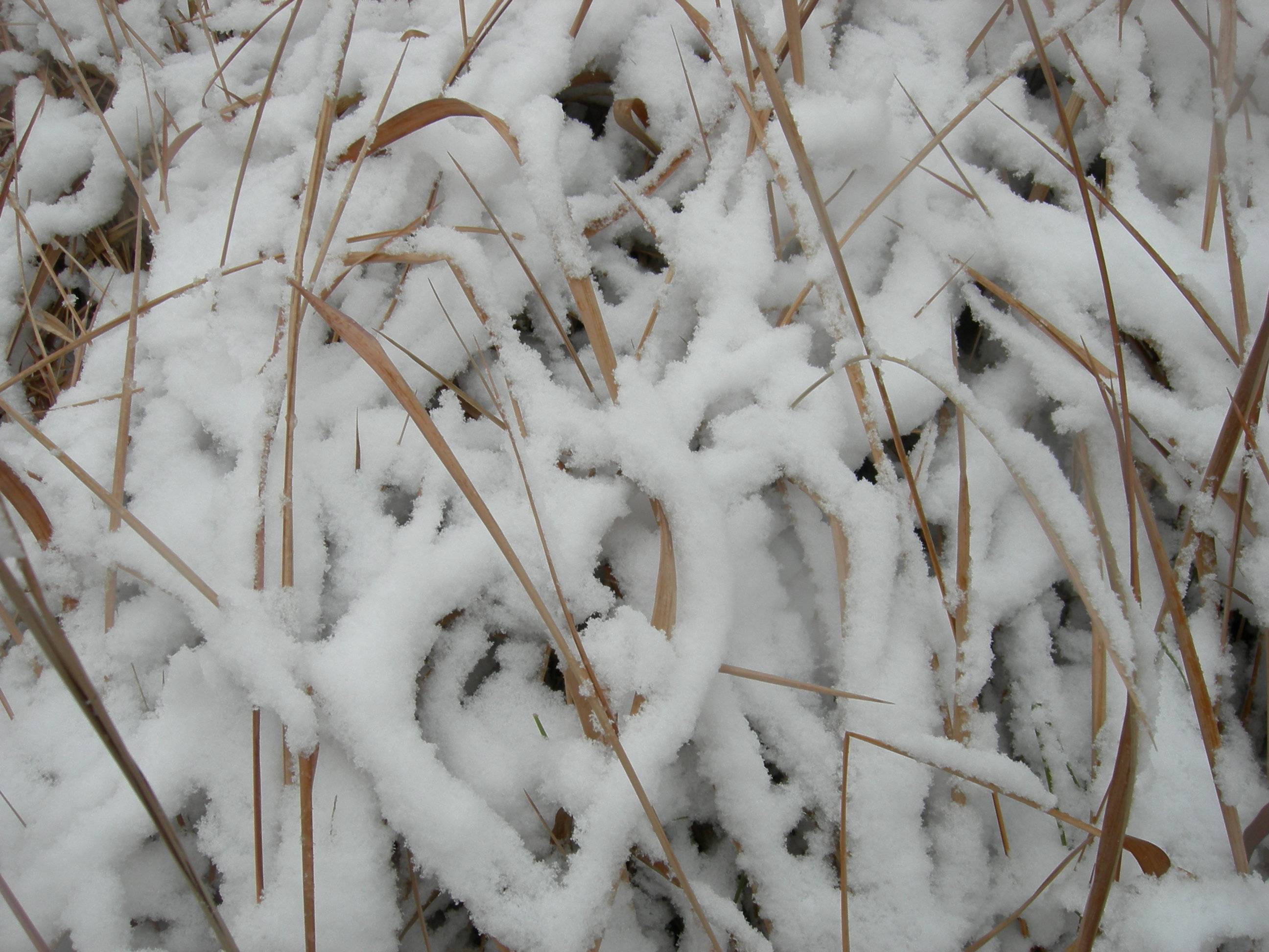 DSCN5918.JPG