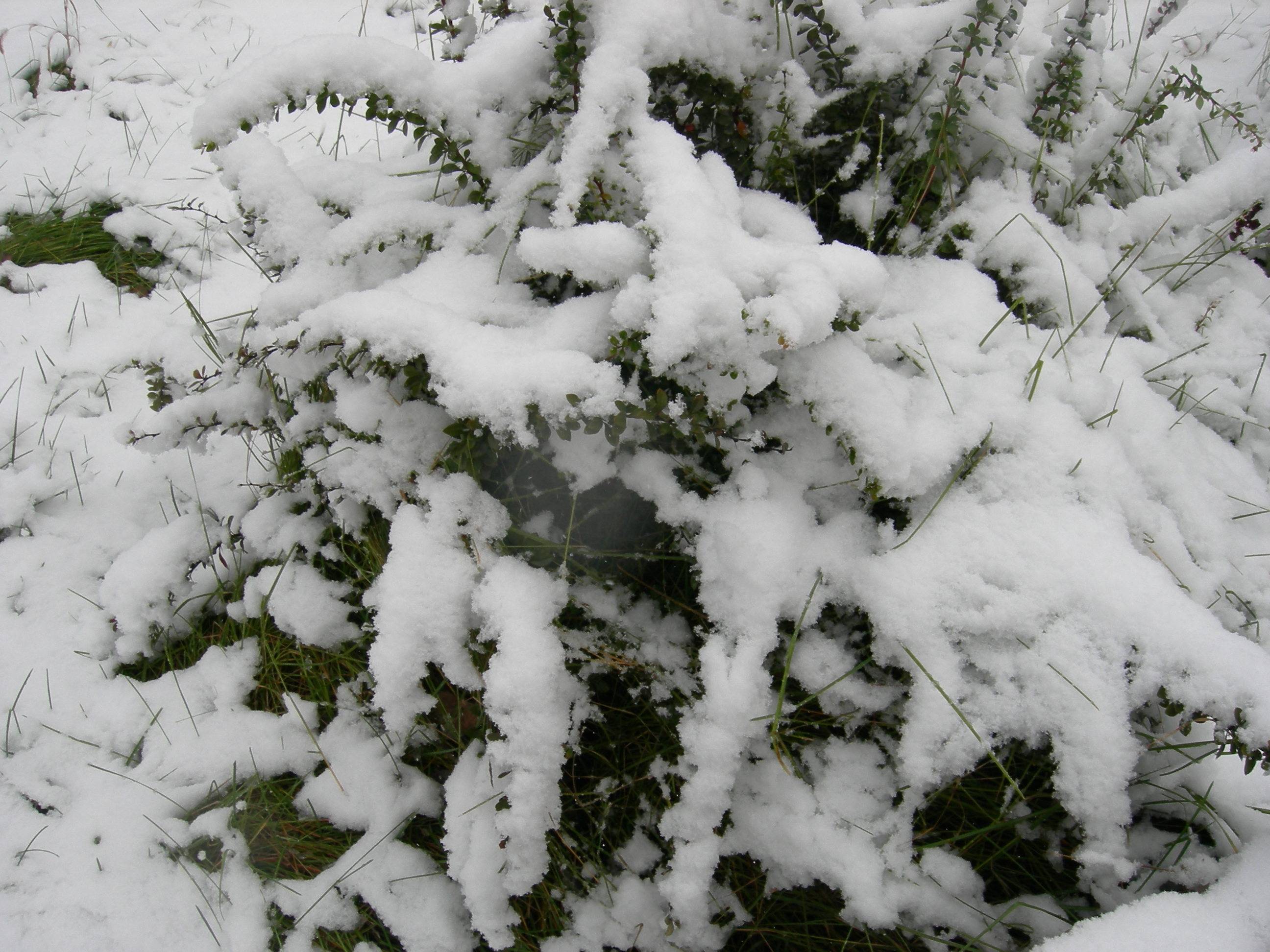 DSCN5912.JPG