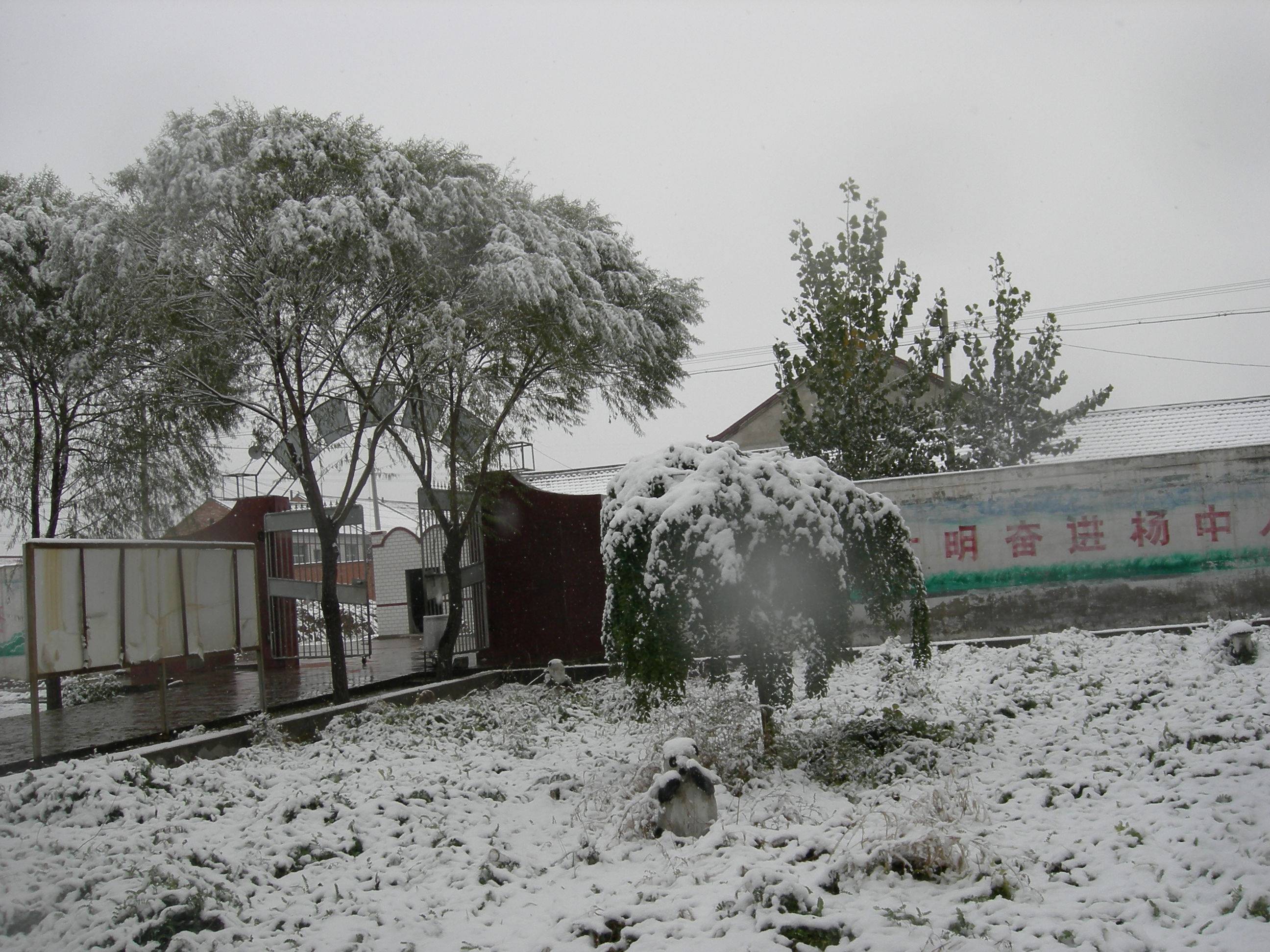 DSCN5917.JPG
