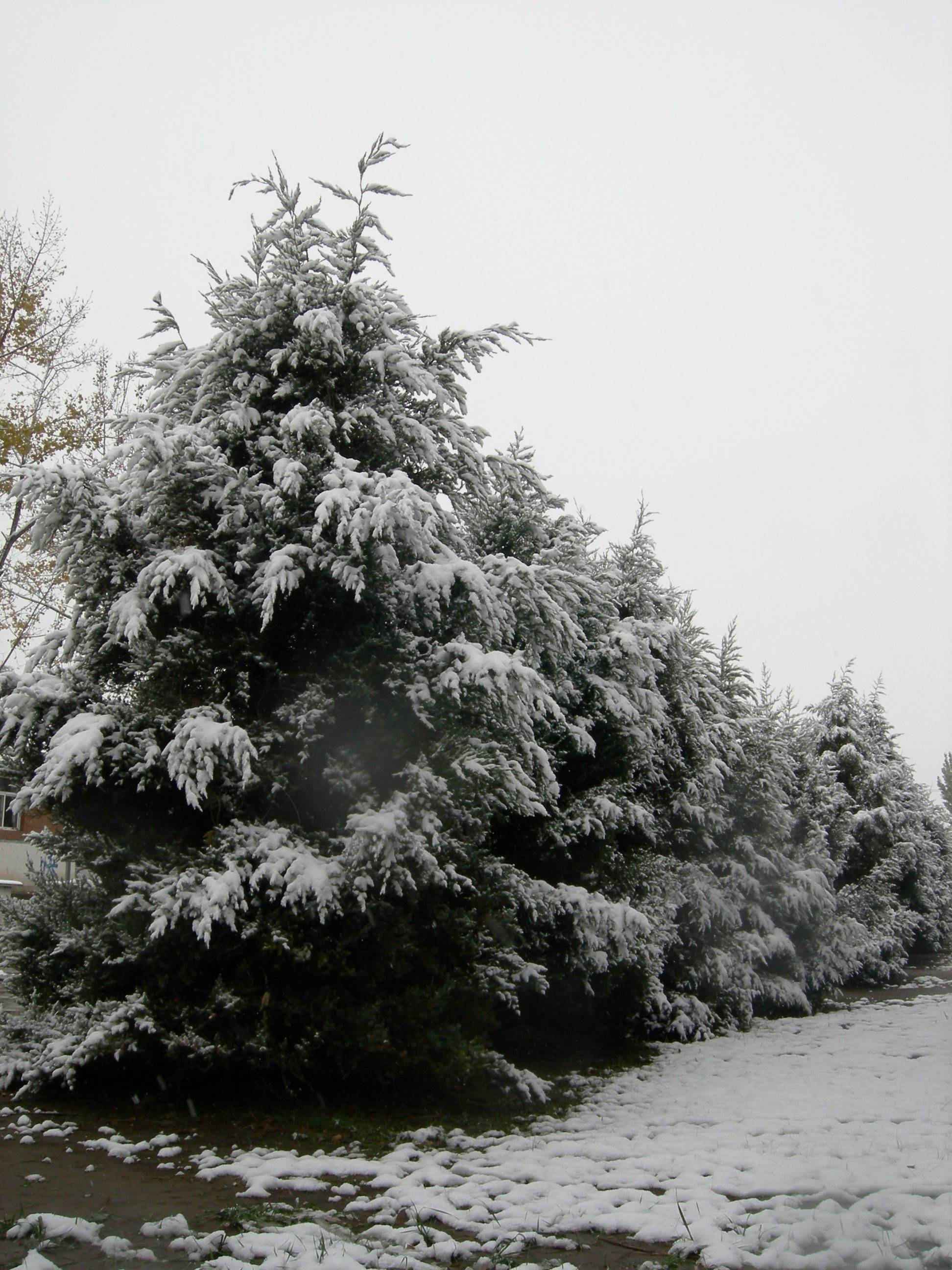 DSCN5921.JPG