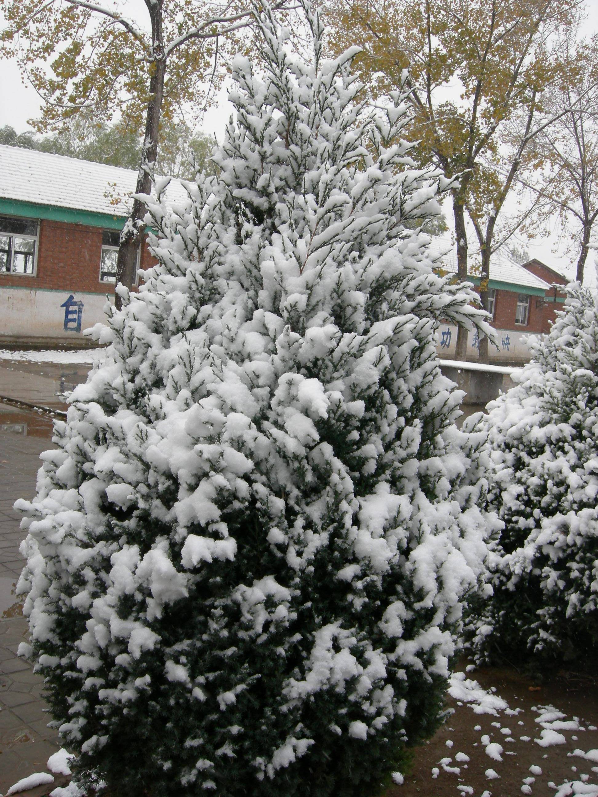 DSCN5908.JPG
