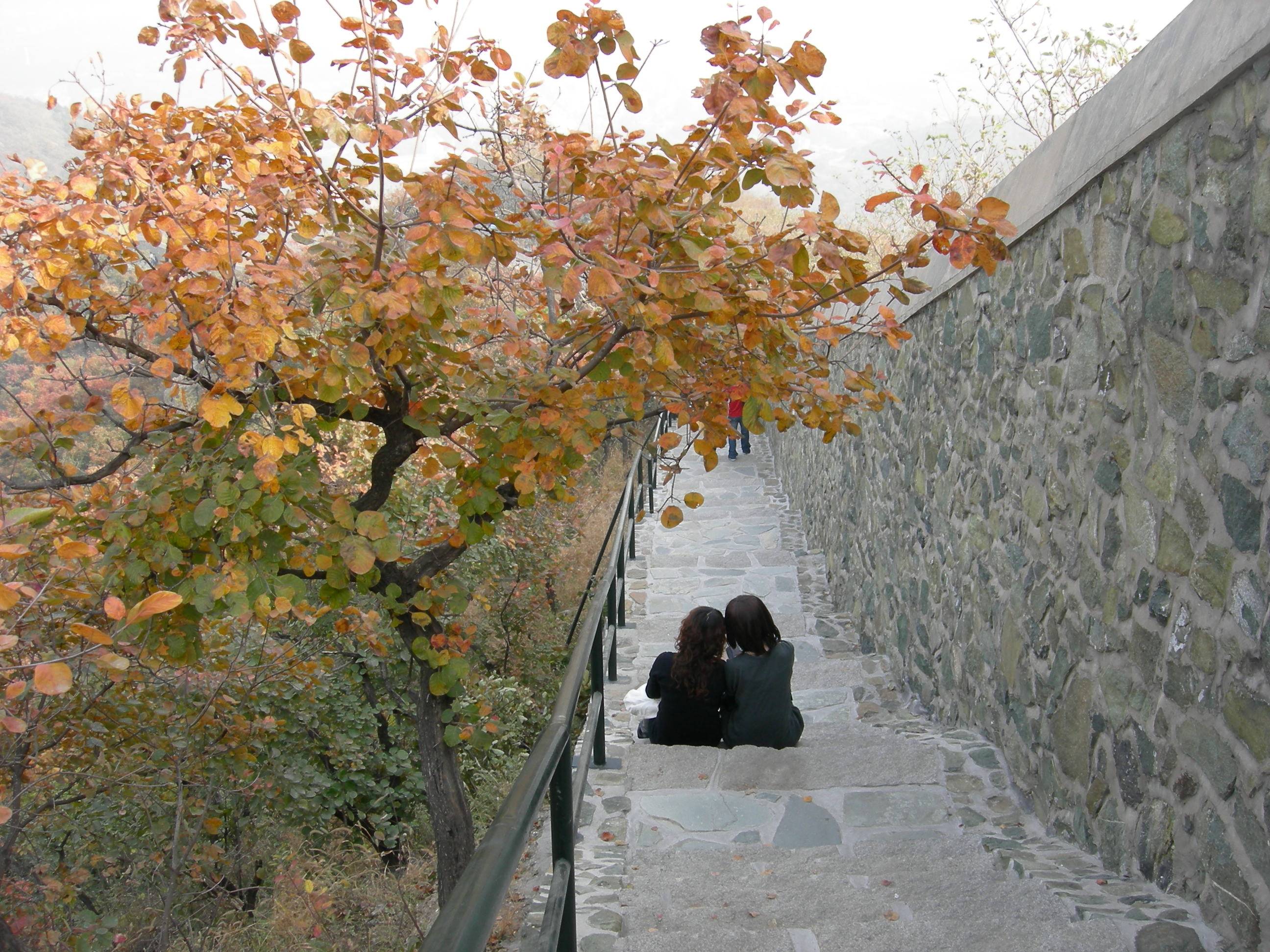 DSCN5845.JPG