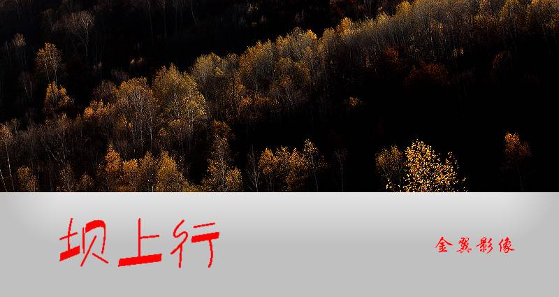 100_9681.JPG