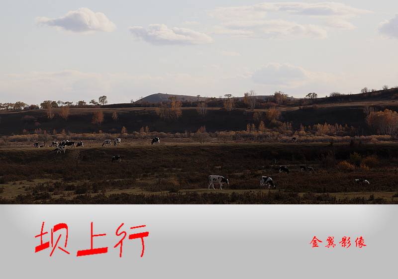 100_9734.jpg