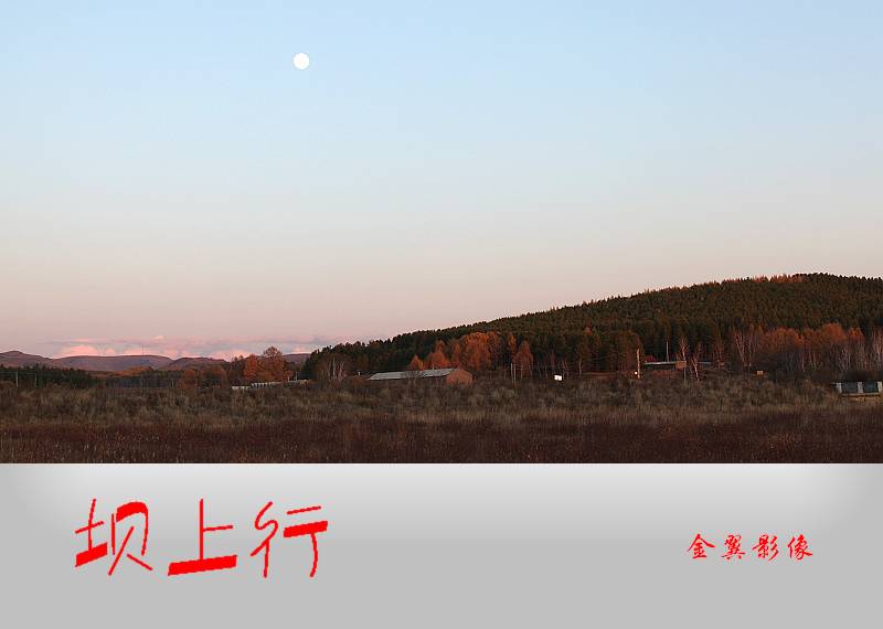 100_9888.jpg