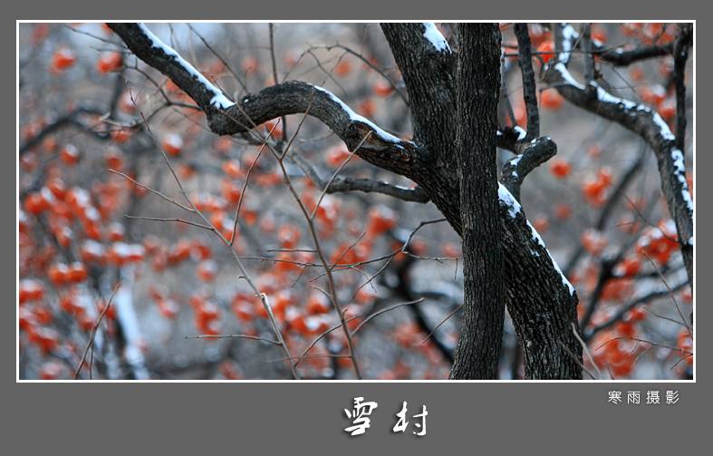 02.jpg