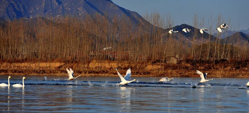DSC_5298.jpg