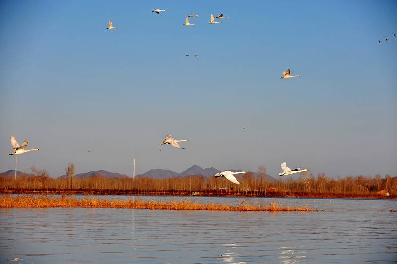 DSC_5308.jpg
