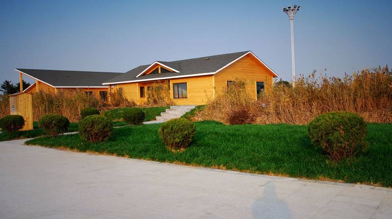 DSC_1461_Ӱ_3.jpg