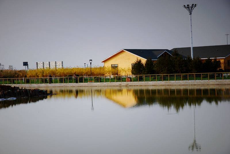 DSC_1458_Ӱ_2.jpg