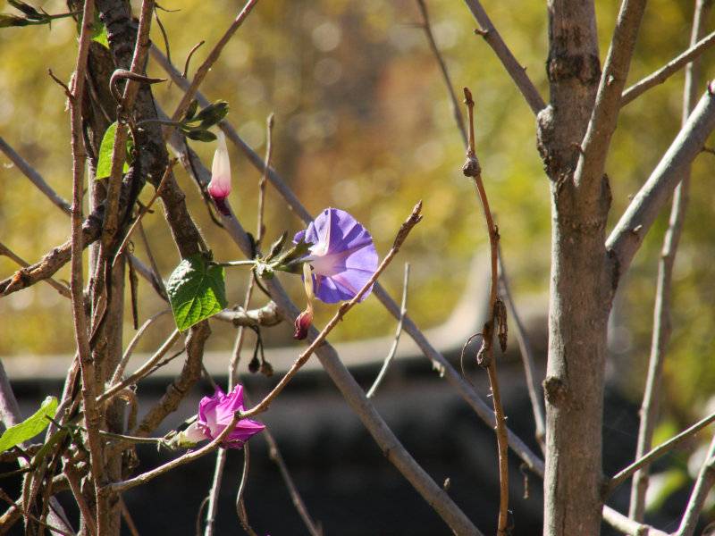 DSC05148_.JPG