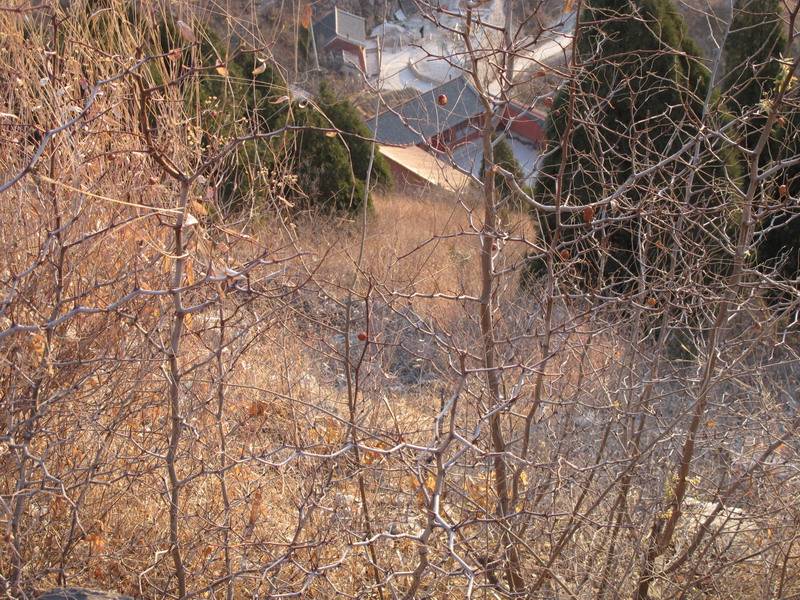 IMG_2846.jpg