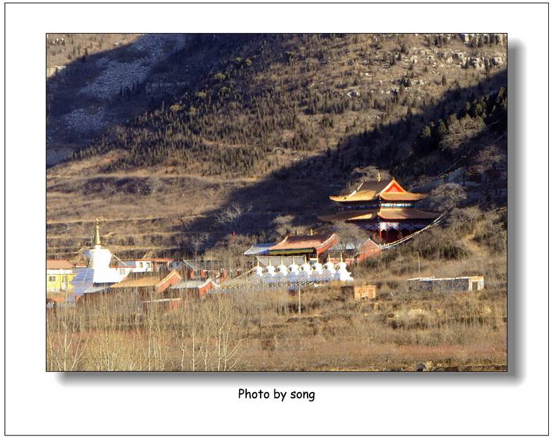 taohuaan.jpg