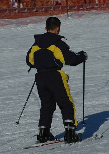 DSC_6568.JPG