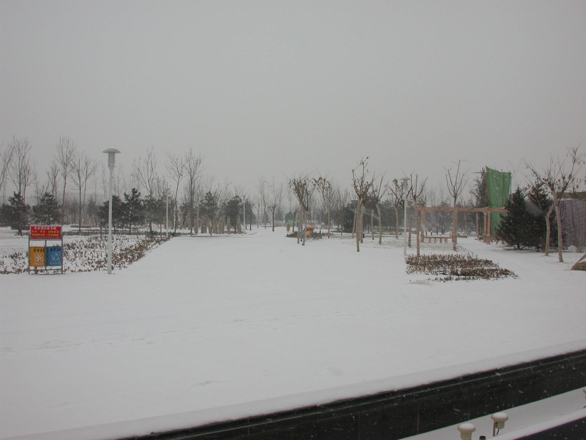 DSCN2246.JPG