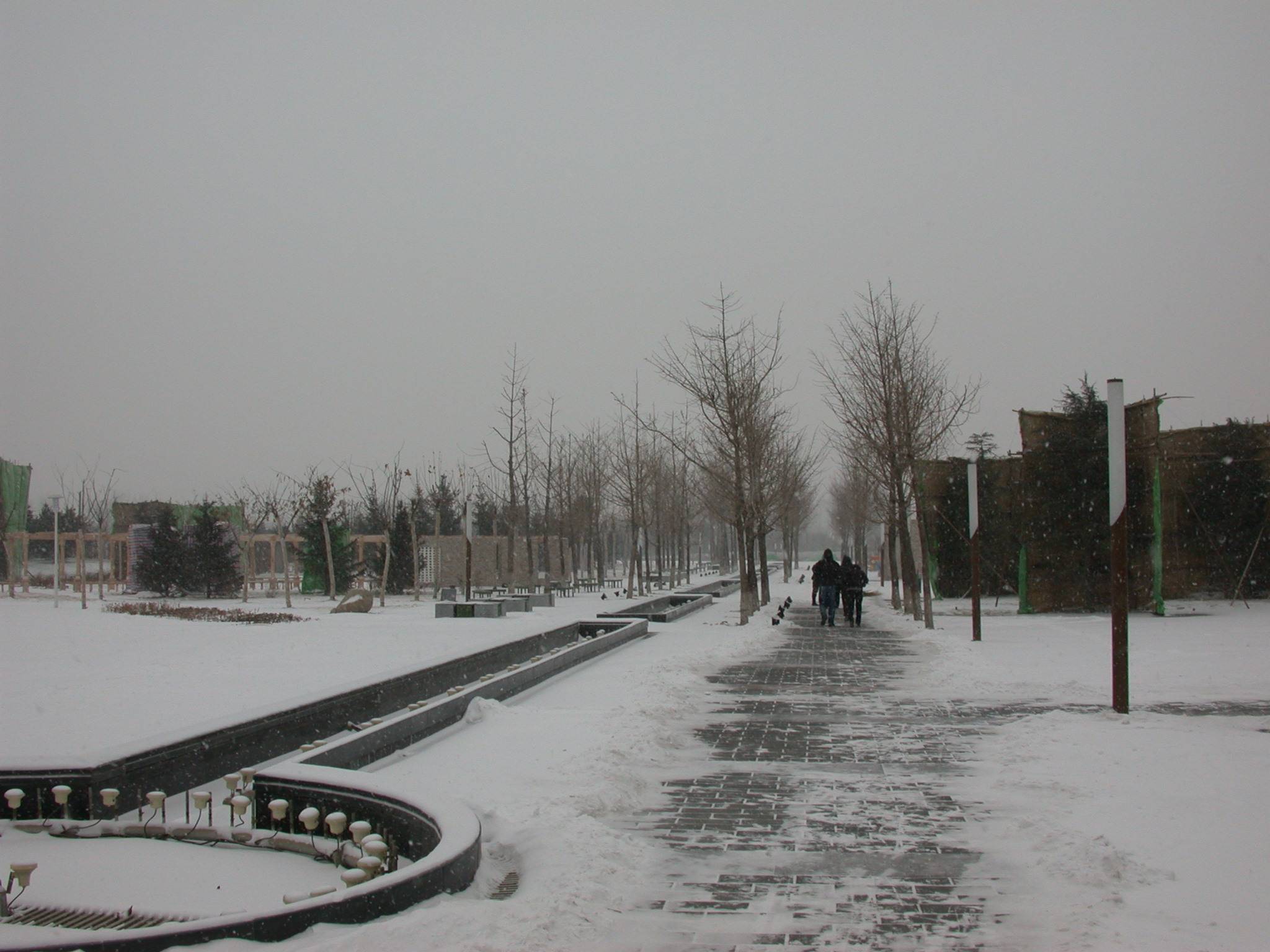 DSCN2245.JPG