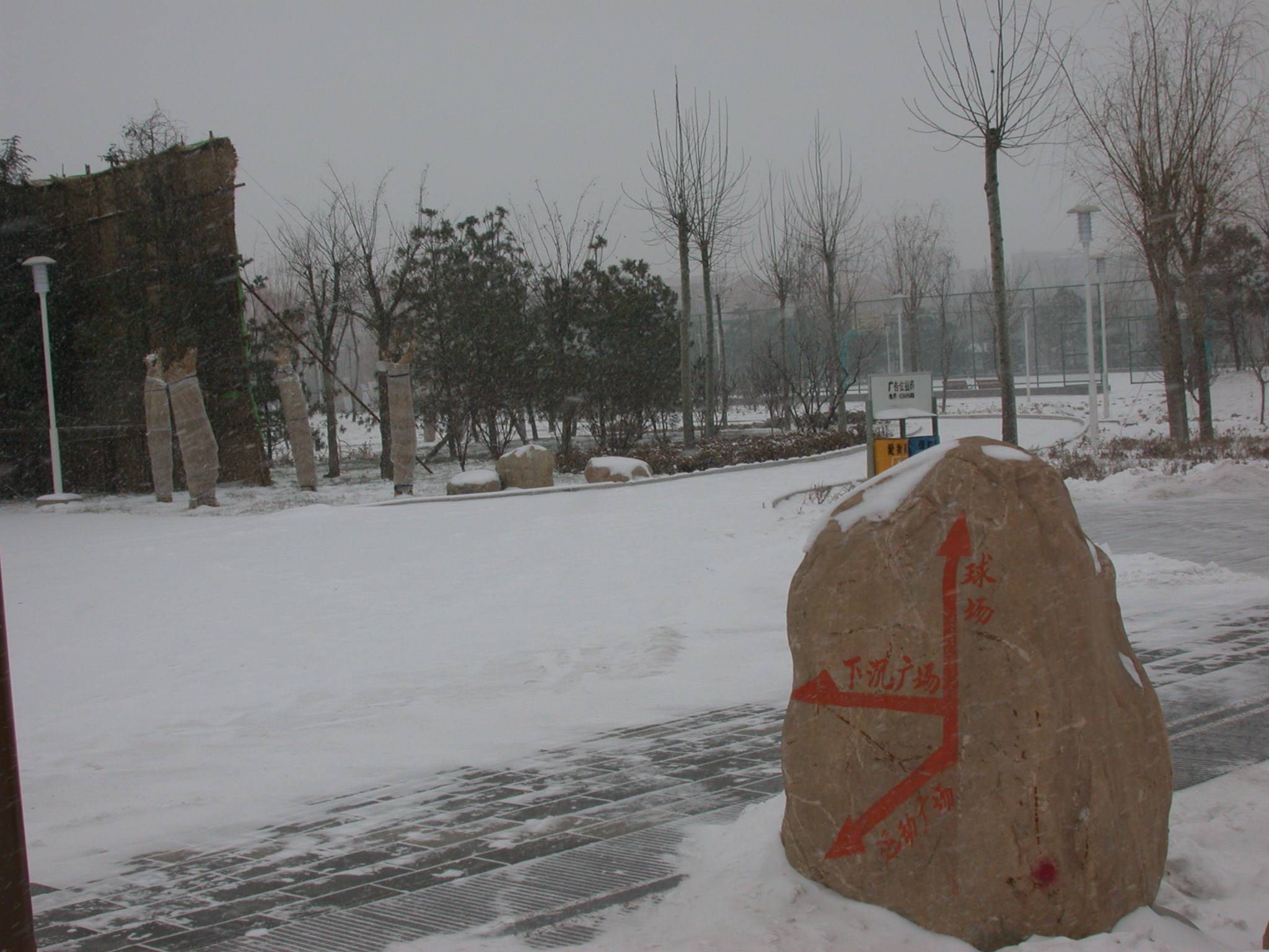 DSCN2248.JPG